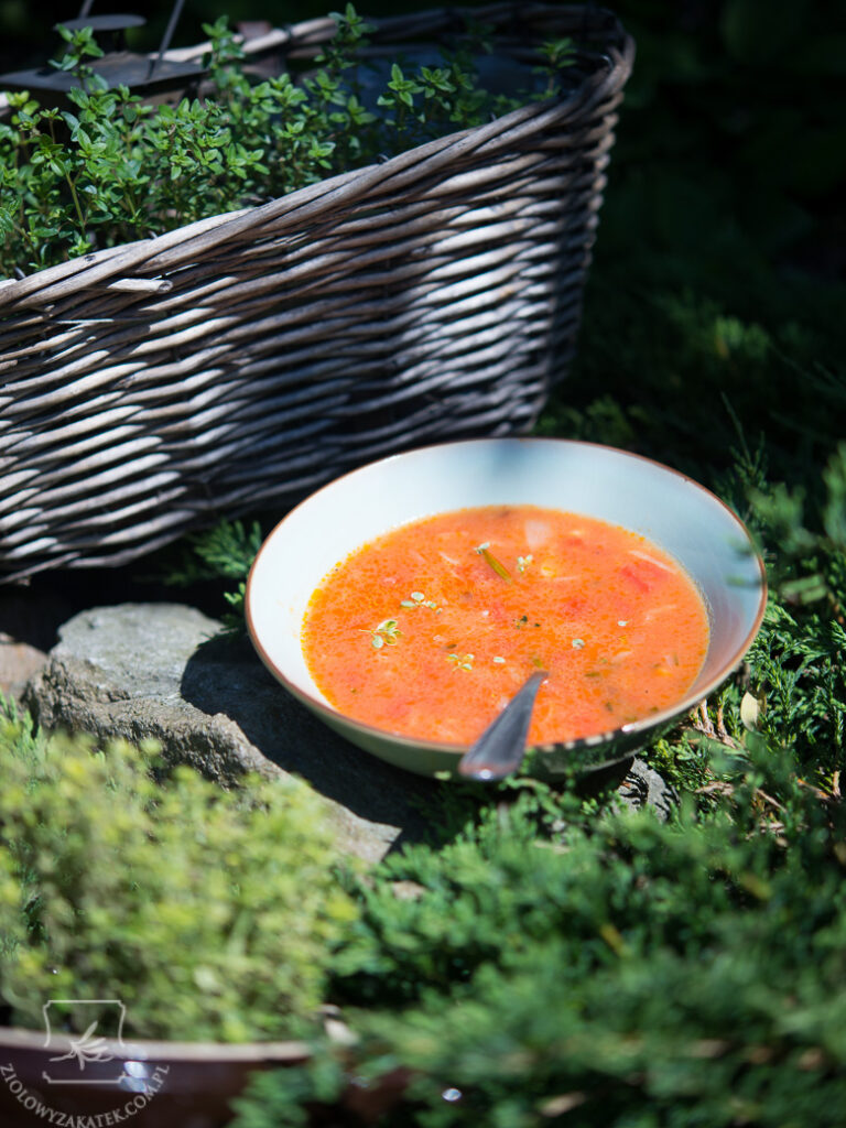 zupa-pomidorowa-prowansalska-1060 - Copy