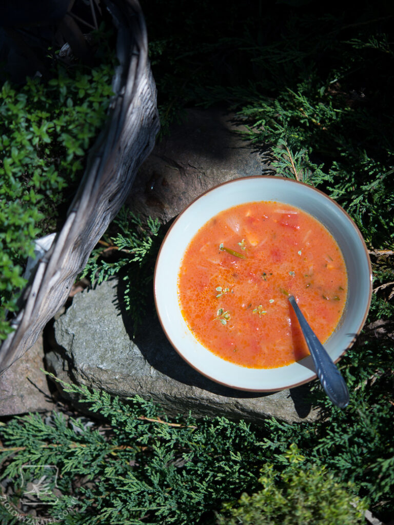zupa-pomidorowa-prowansalska-1070 - Copy