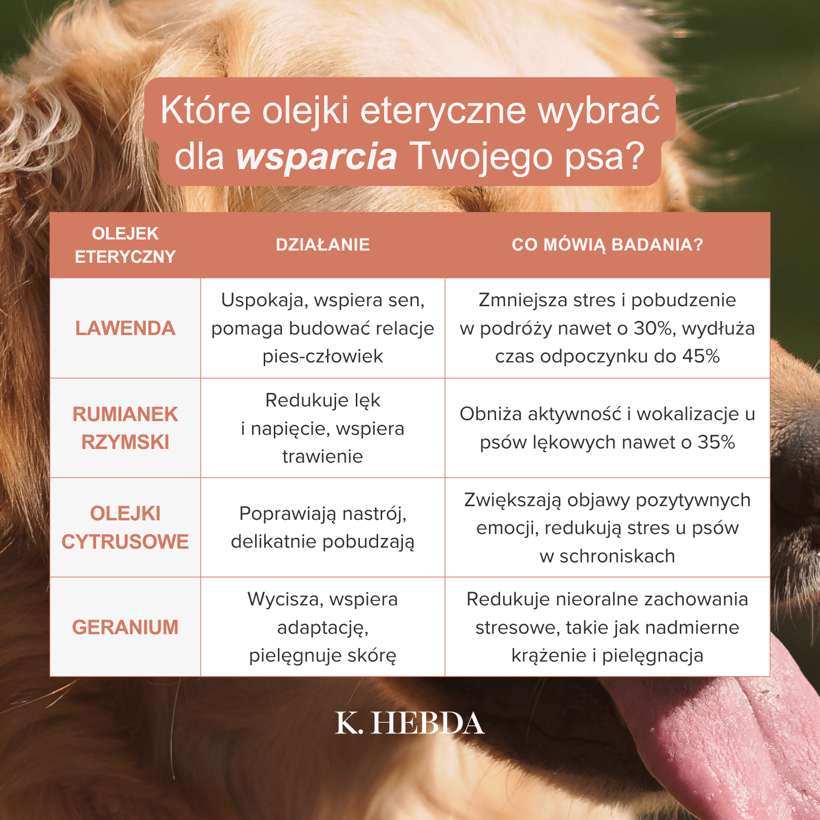 Które olejki eteryczne wybrać dla wsparcia Twojego psa? Tabelka z wybranymi olejkami eterycznymi i ich działaniem