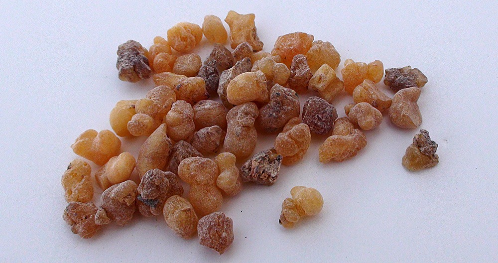 Żywica Boswellia carterii