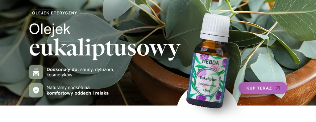 Olejek eukaliptusowy Olejek eukaliptusowy